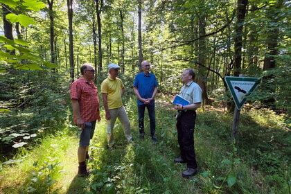 Umweltausschuss unternimmt Exkursion in den Wald 